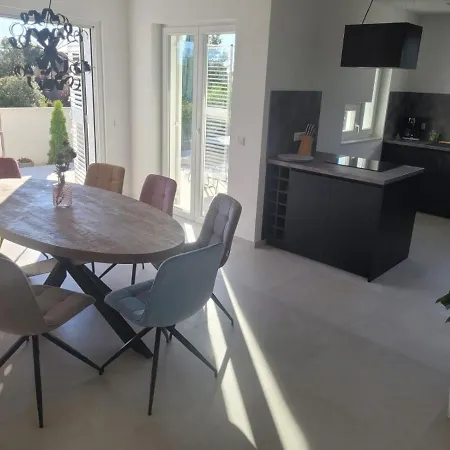 Haus Dalmatia With Heated Pool 公寓 比比涅